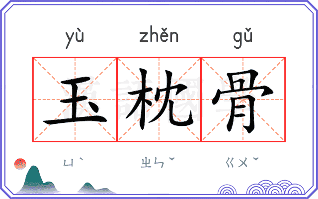 玉枕骨