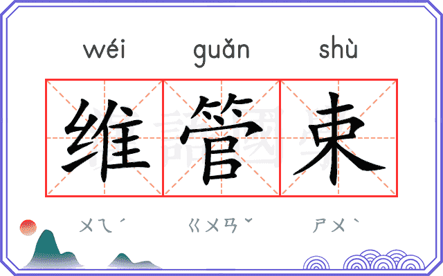 维管束