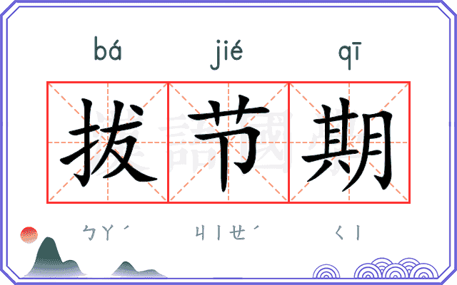 拔节期