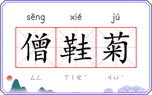 僧鞋菊