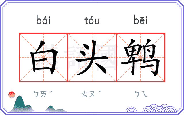白头鹎
