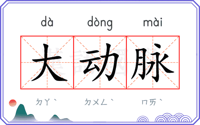 大动脉