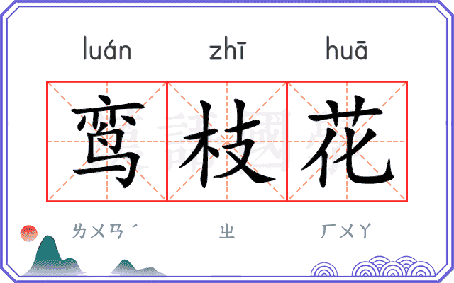 鸾枝花