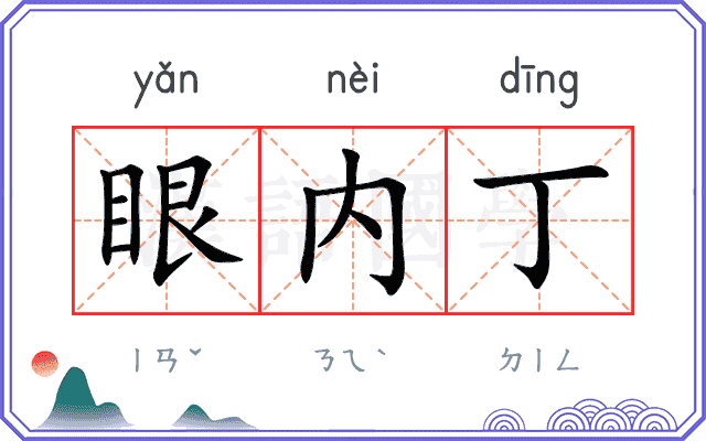 眼内丁