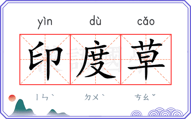 印度草