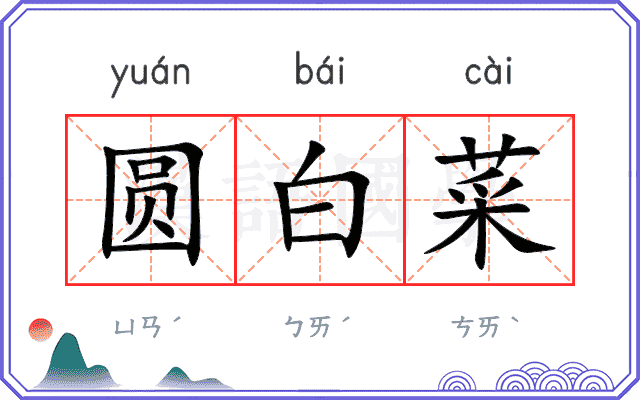 圆白菜