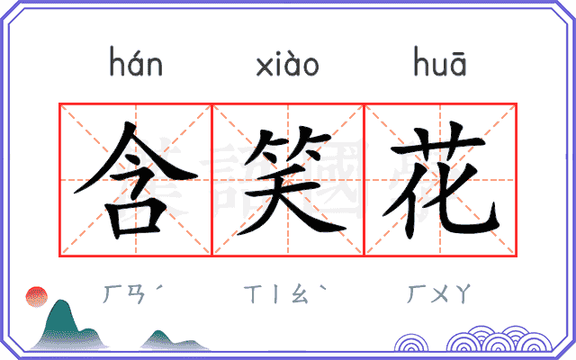 含笑花