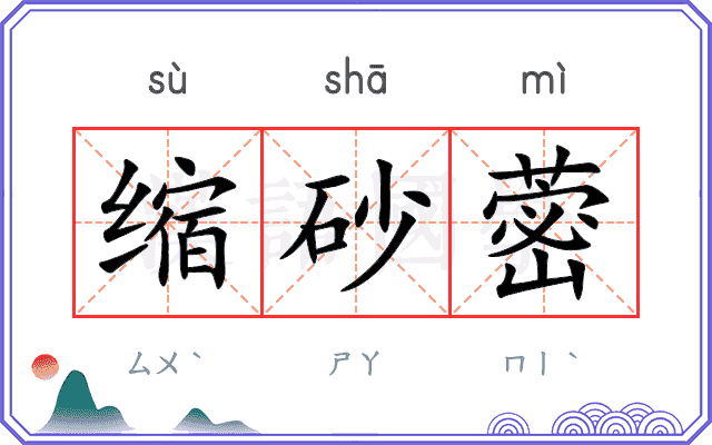 缩砂蔤