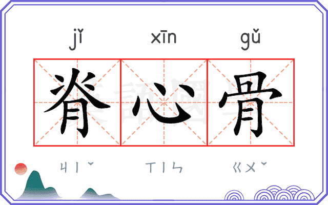 脊心骨