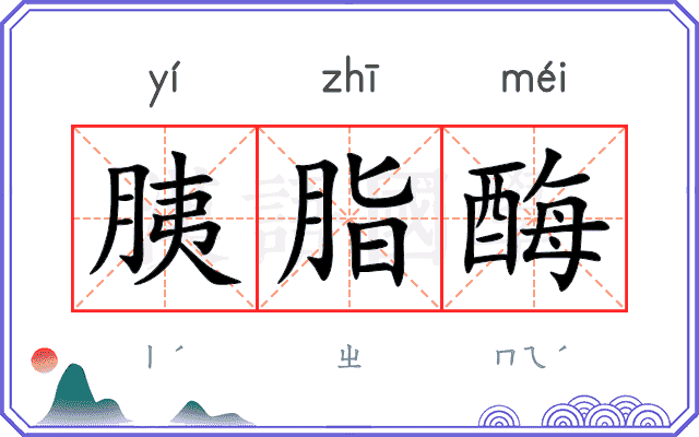 胰脂酶