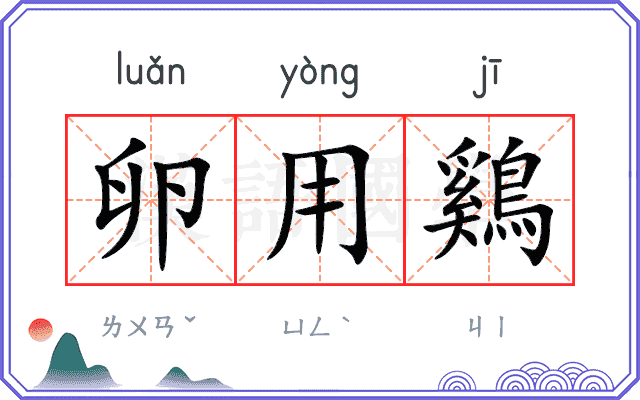 卵用鷄
