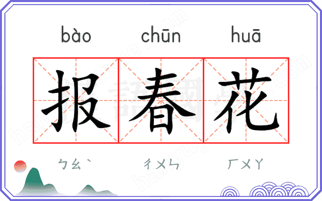 报春花