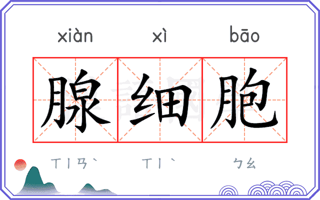腺细胞