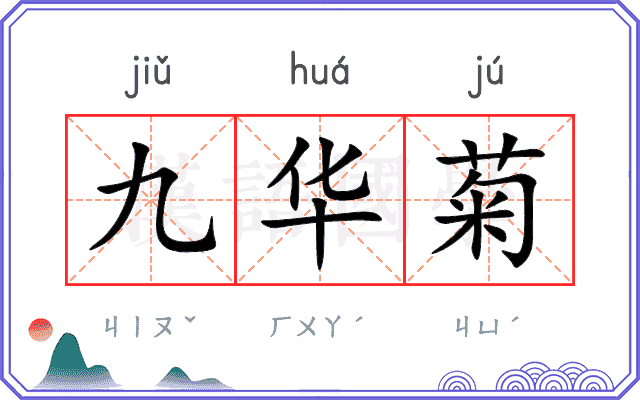 九华菊