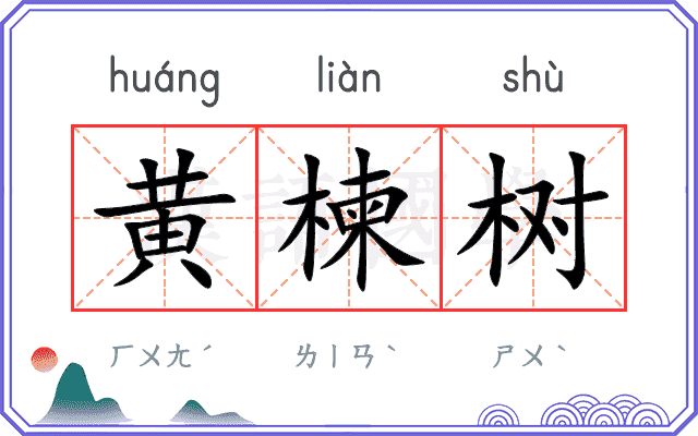 黄楝树