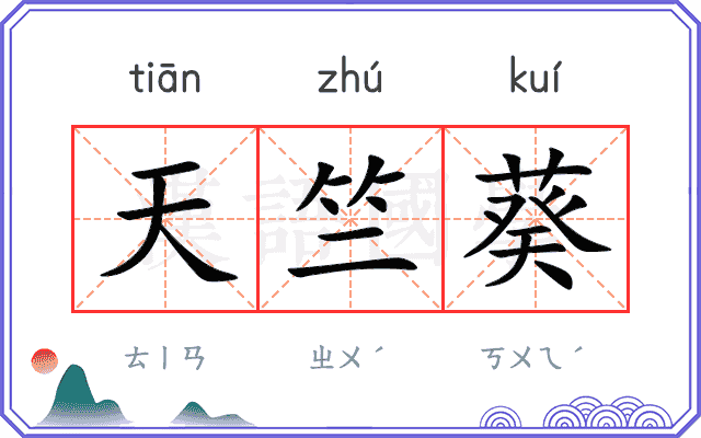 天竺葵