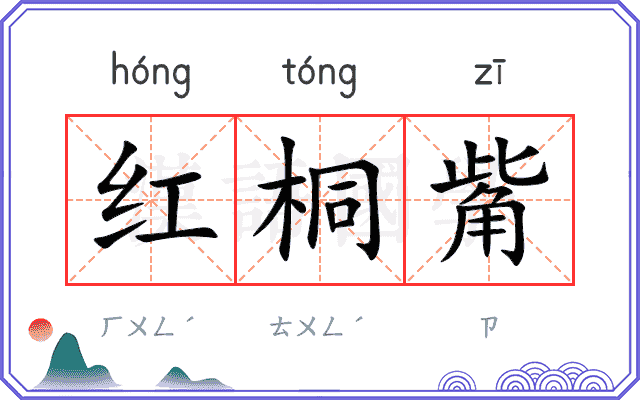 红桐觜
