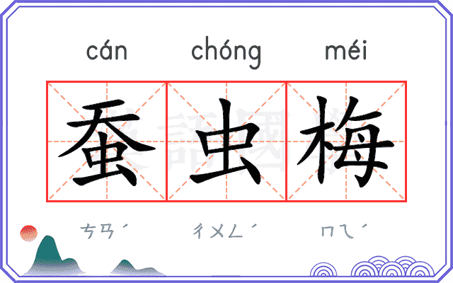 蚕虫梅
