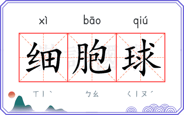 细胞球