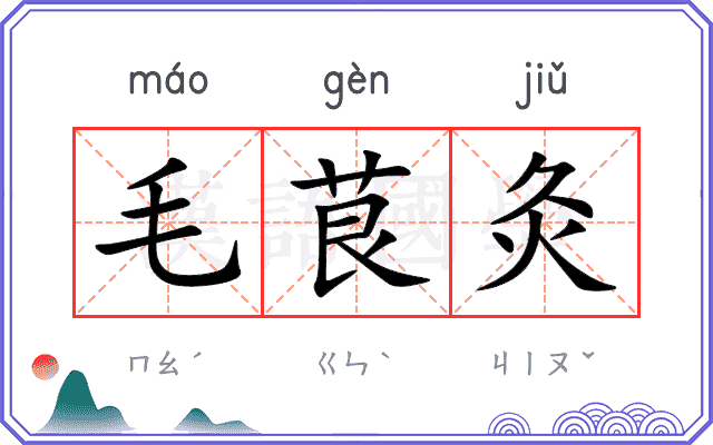 毛茛灸