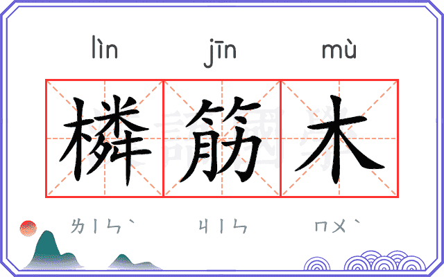 橉筋木
