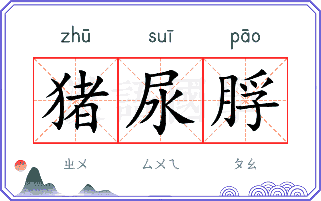 猪尿脬