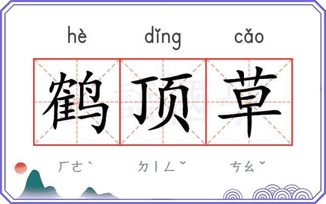 鹤顶草