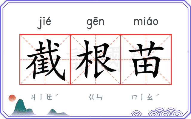 截根苗