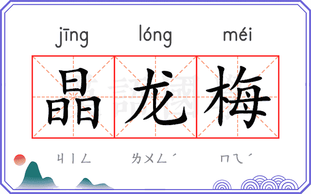 晶龙梅