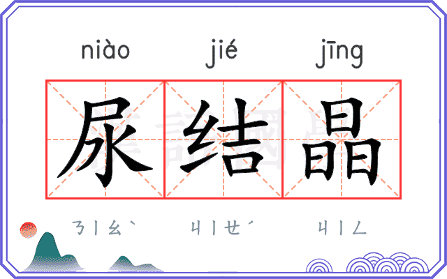 尿结晶