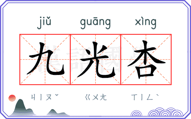 九光杏