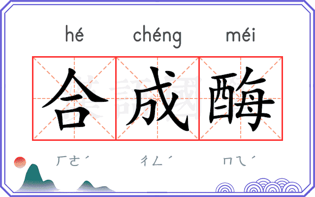 合成酶