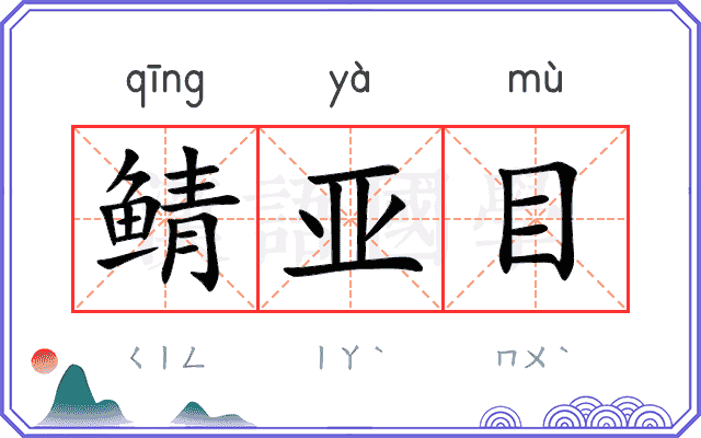 鲭亚目