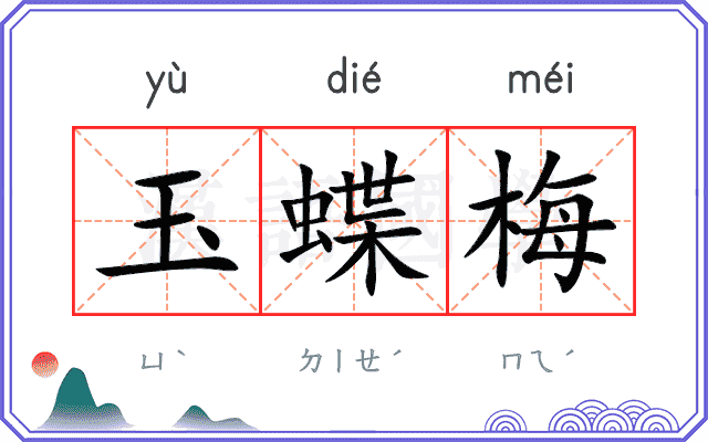 玉蝶梅