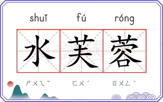 水芙蓉
