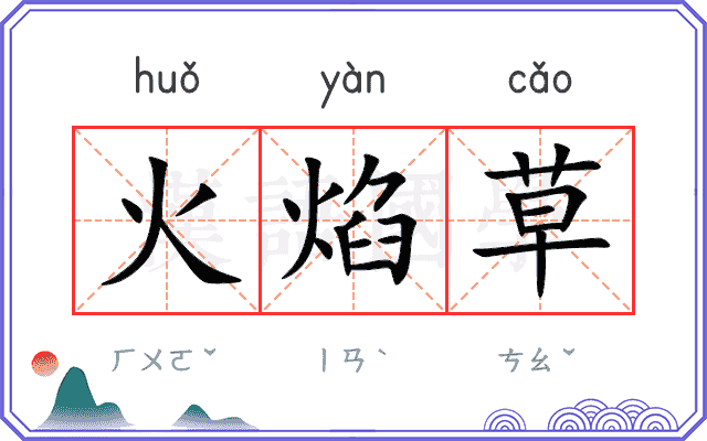 火焰草