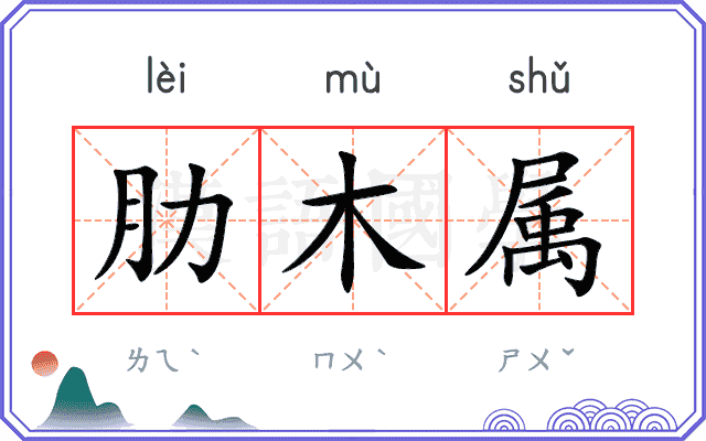 肋木属