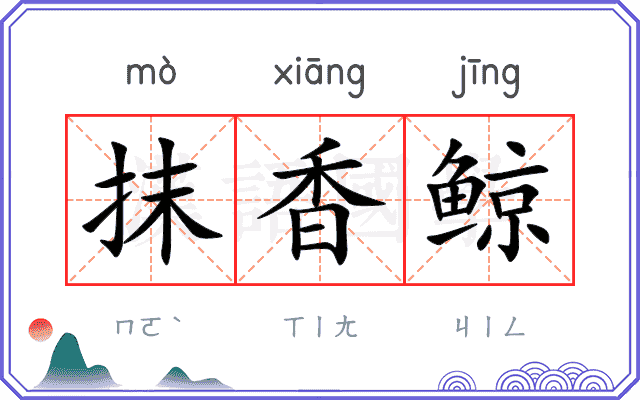 抹香鲸