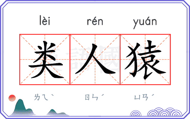 类人猿