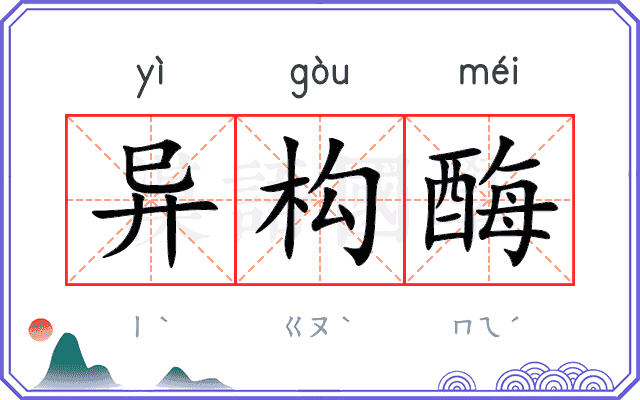 异构酶