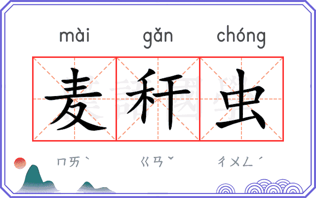 麦秆虫
