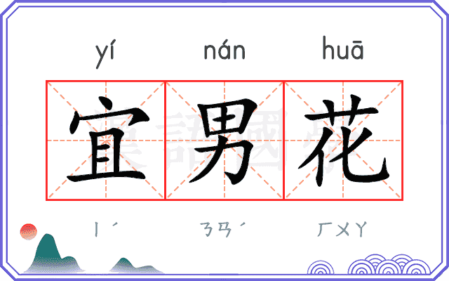宜男花