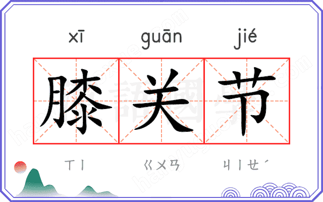膝关节