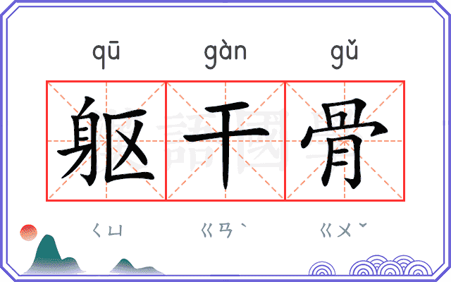 躯干骨