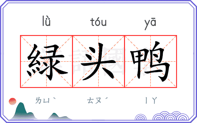 緑头鸭
