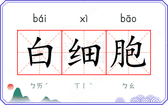 白细胞