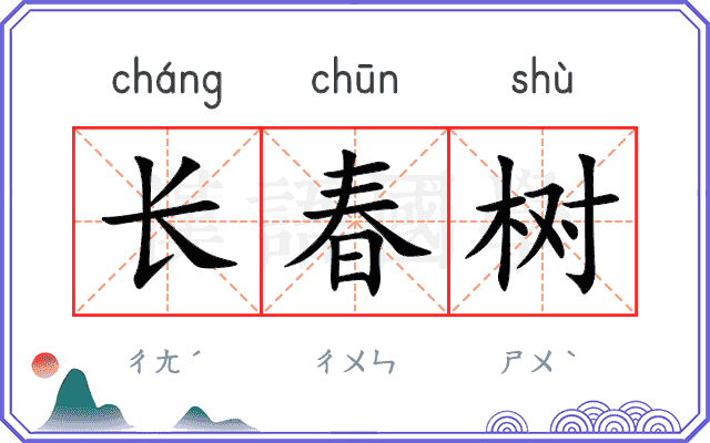 长春树