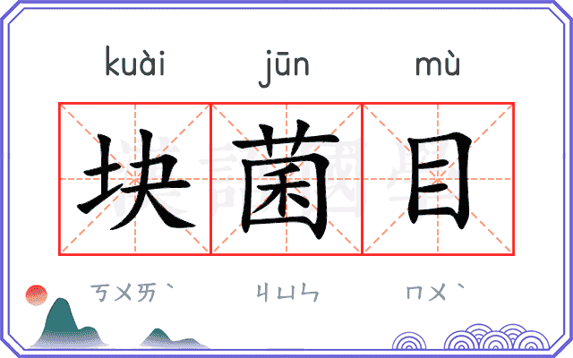 块菌目