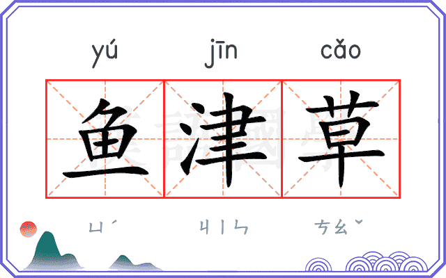 鱼津草