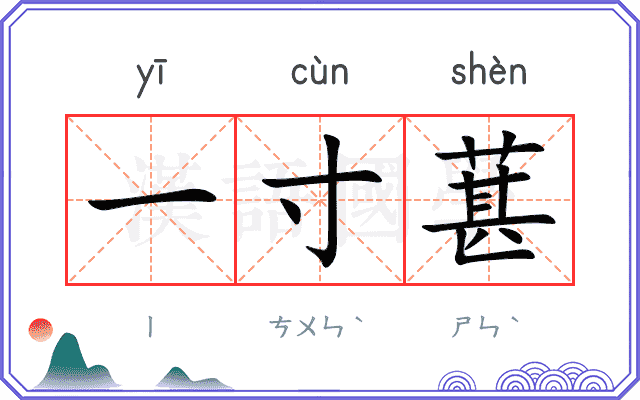 一寸葚